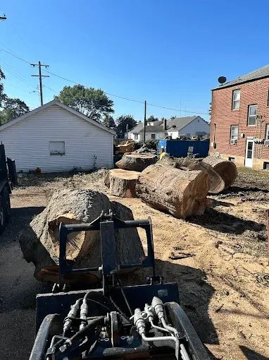 Stump grinding service in Saint Louis MO