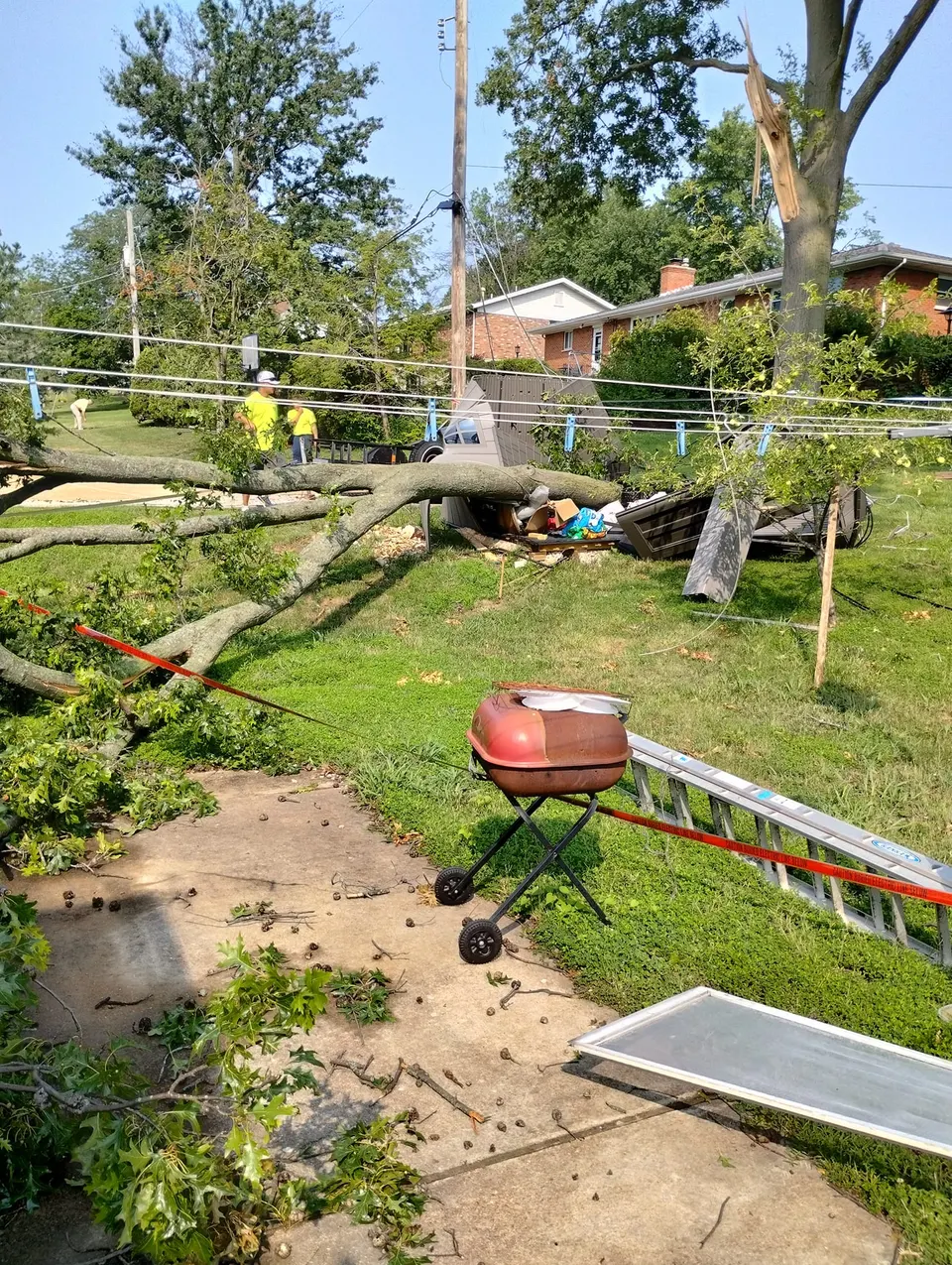 Stump grinding equipment in Saint Louis