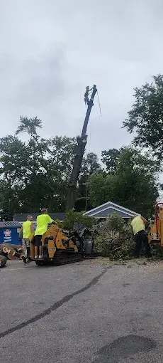 Thompson's Tree Care team working on a job site in Saint Louis Missouri