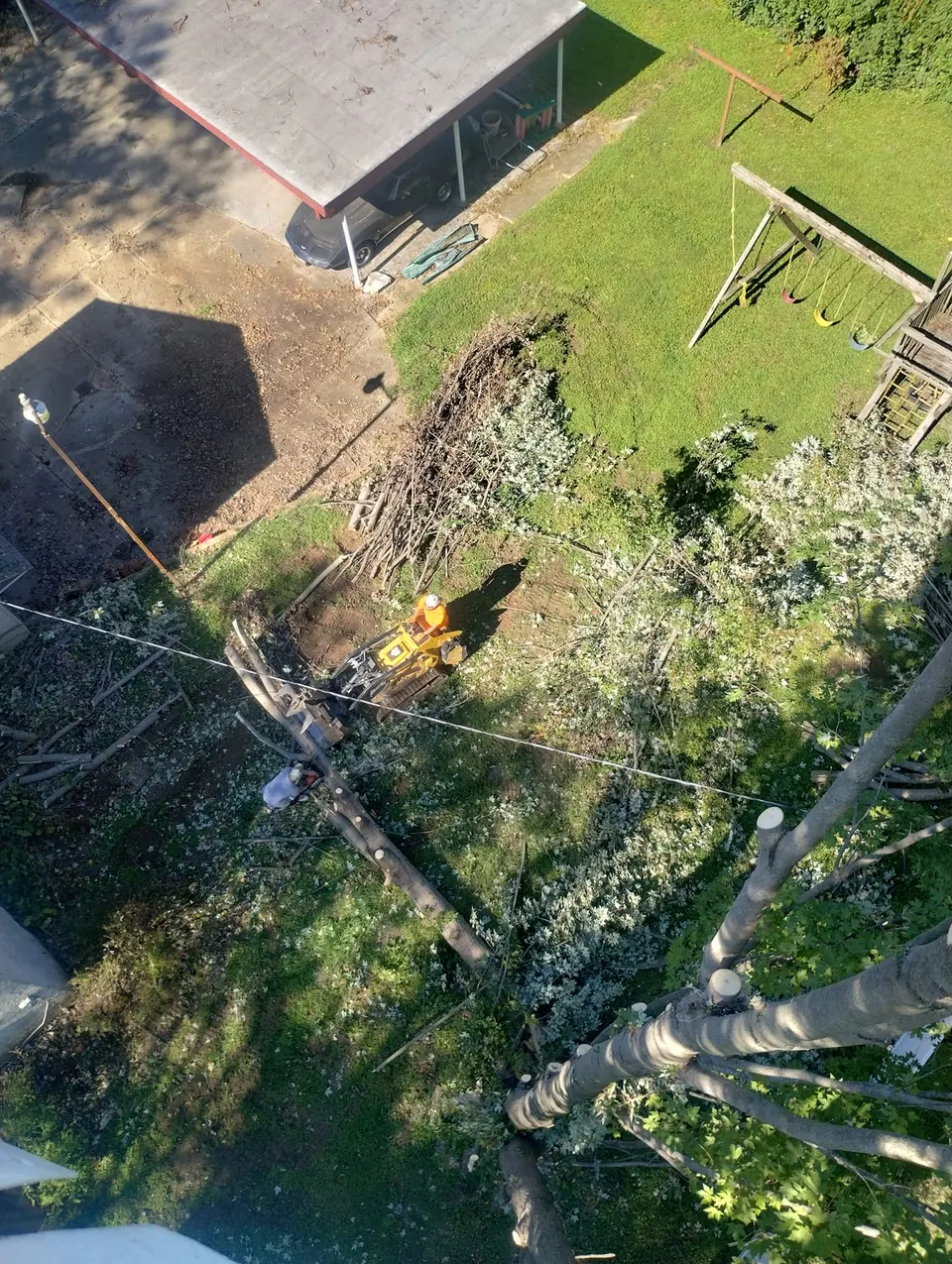 Tree trimming service in Missouri