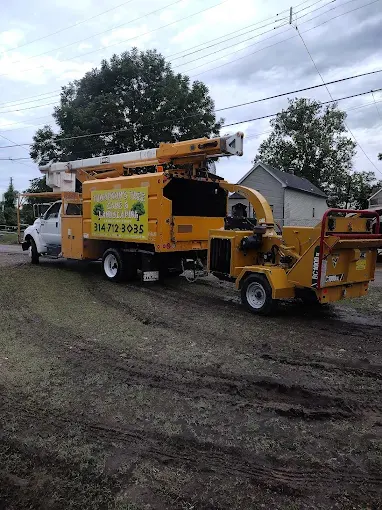 Thompson's Tree Care branded dump truck used for tree removal projects in Saint Louis MO
