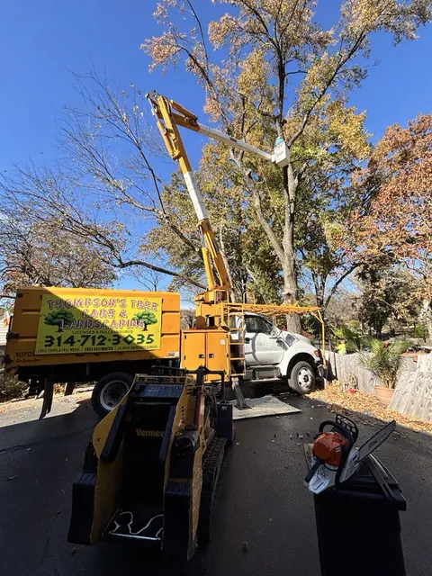 Thompson's Tree Care crew performing professional tree service in Saint Louis MO